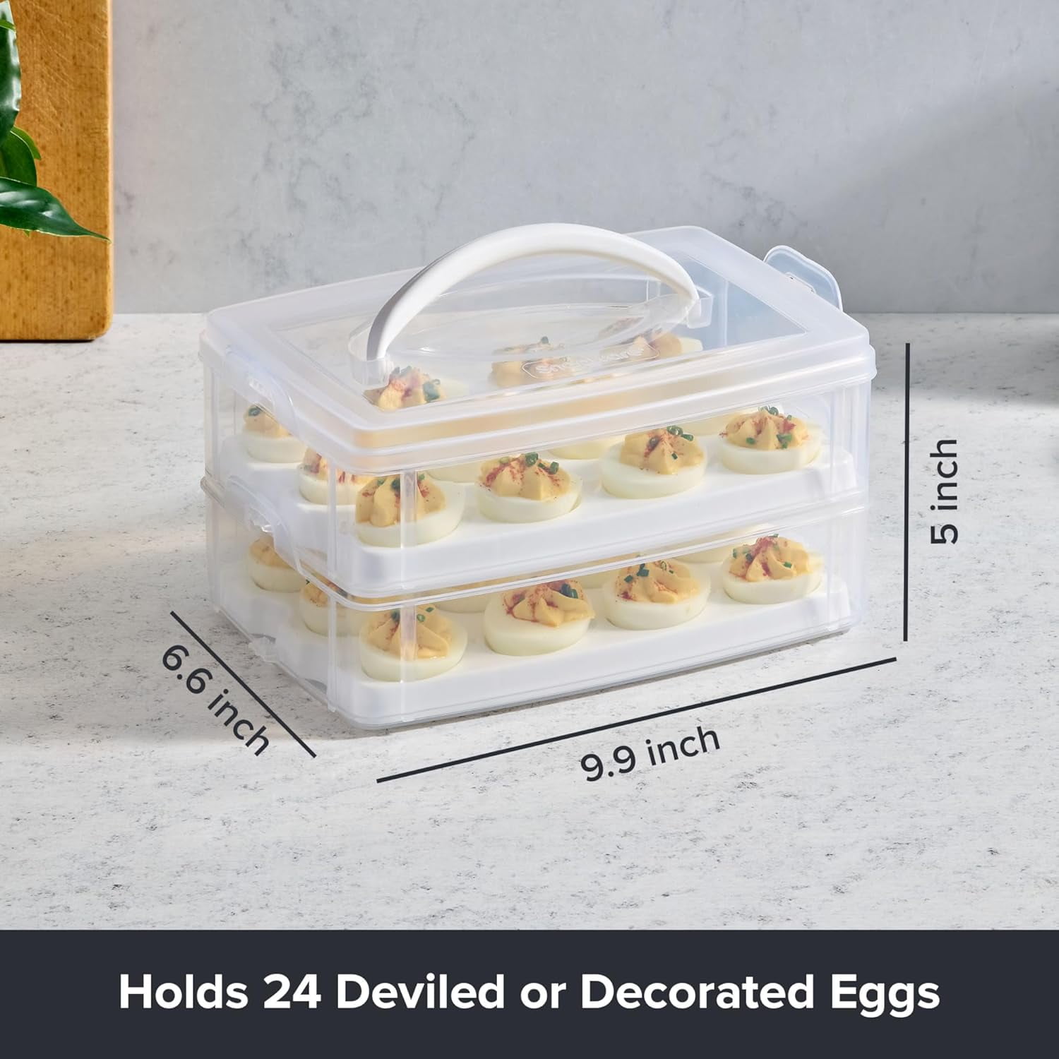 Plastic removable deviled egg container with lid and handle, freezer, dishwasher and microwave safe
