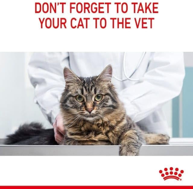 Royal Canin Appetite Control Cat Wet Food in Gravy 12x85g