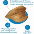 thumbnail image 5 of Cow Ears chew treats for Dogs (10 Count) Natural Animal Ear chews from Free Range Grass Fed Cattle with No Hormones, Additives or Chemicals by 123 Treats, 5 of 9