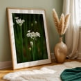 thumbnail image 6 of onion flowers on green stems - Carmel Valley California Photography Flowers Floral Botanical Nature Garden Scenic Minimalist Unframed Wall Art Print 20 x 30 inches, 6 of 60