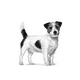 thumbnail image 3 of ROYAL CANIN URINARY SO SMALL DOG 4 KG ORIGINAL SELLADO, 3 of 3