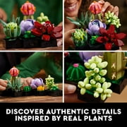 LEGO Icons Succulents, 5 Artificial Plant, Multicolor, Plastic, for Home Decor