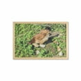 thumbnail image 1 of Hen and Chicks Wall Art with Frame, Still Life Photo of Domestic Farm Animals on Shamrock Field, Printed Fabric Poster for Bathroom Living Room, 35" x 23", Apple Green Multicolor, by Ambesonne, 1 of 2