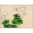 thumbnail image 2 of Ruoai, Zhang 24x18 Black Modern Framed Museum Art Print Titled - Mallow flowers, 2 of 4