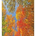 thumbnail image 3 of Ambesonne Fall Duvet Cover Sets, Forest in Autumn, 2-Twin, Orange Blue Green, 3 of 4