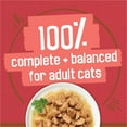 thumbnail image 5 of Purina Friskies Extra Chunky Gravy, Soft Beef, Wet Cat Food, 5.5 oz Can, 5 of 9