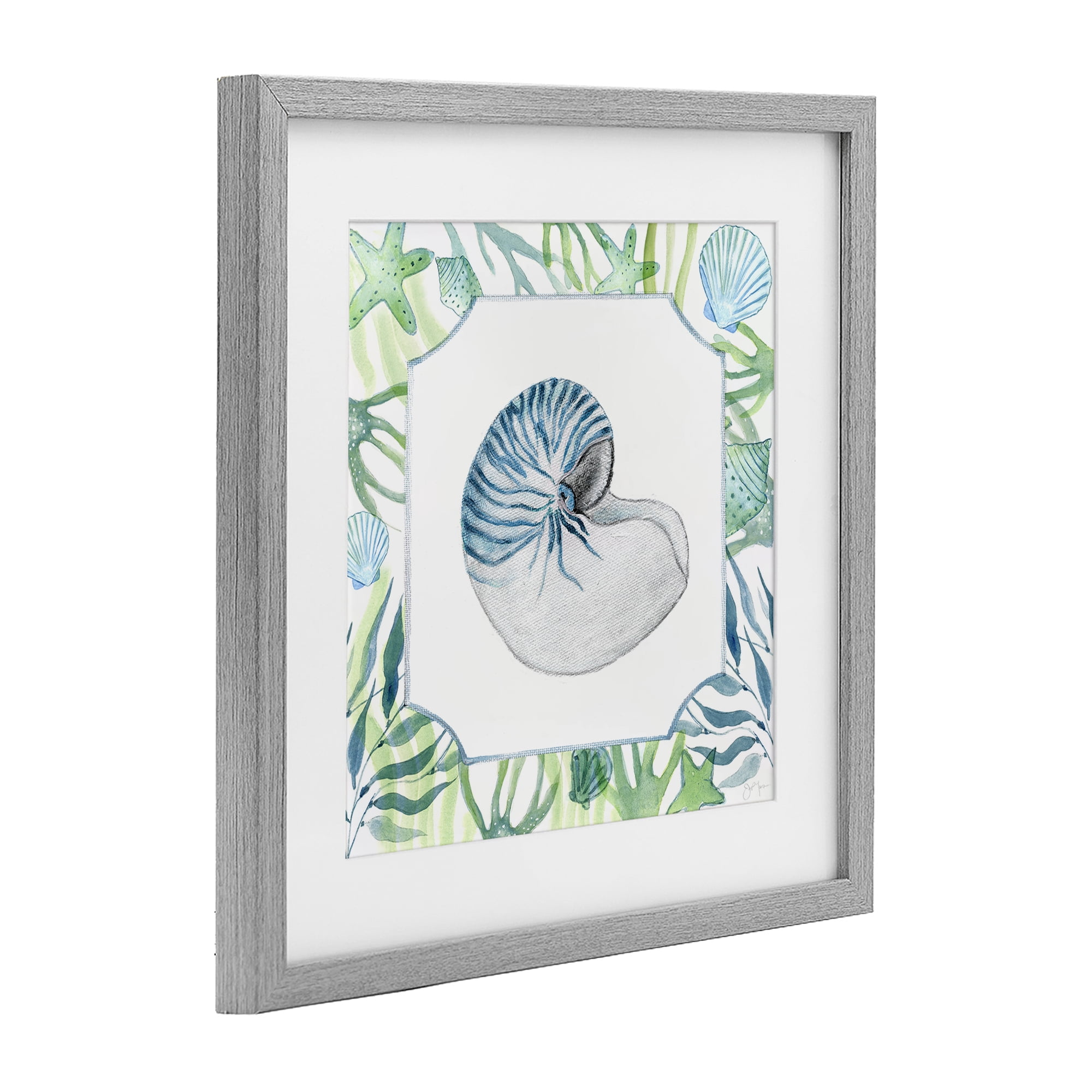 Stupell Industries Seaweed & Seashells Aquatic Gray Framed Print Under Glass, design by Janet Tava