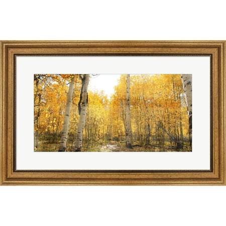 Great Art Now Aspen Pathway by Ann Bailey, Framed Wall Art, 28W x 18H