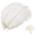 thumbnail image 2 of Mwoot 10pcs Natural Ostrich Feathers, Ostrich Feather Plume for Wedding Party Table Decoration (White, 25-30cm), 2 of 5