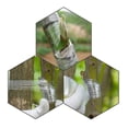 thumbnail image 4 of Cinta para amarrar jardín, cinta para injerto de plantas, cinta de vinilo elástica, cinta autoadhesiva para jardín, 4 of 4