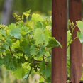 thumbnail image 3 of 2pcs Antiseptic Wood Log Lawn Grass Edging Garden Flower Bed Border Fence Decor, 3 of 3