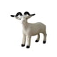 thumbnail image 2 of Simulación Figuras de cabra Modelo Adornos de escritorio Colección de juguetes de animales en miniatura Juguete educativo Artesanía Muñeca de oveja pa perfke estatuilla de animales, 2 of 9