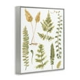 thumbnail image 4 of Stupell Industries Varied Fern Leaves Botanical & Floral Painting Gray Framed Art Print Wall Art, 16 x 20, 4 of 10