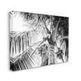 thumbnail image 3 of Stupell Industries Tropical Coconut Fruits Growing Monochrome Palm Tree Photograph Gallery Wrapped Canvas Print Wall Art, Design by Two Smart Blondes, 3 of 5