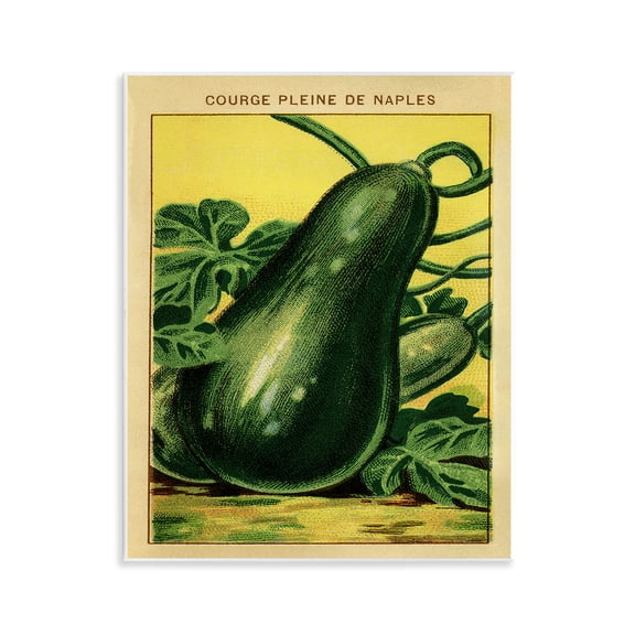 Stupell Industries Country Vintage Squash Food & Beverage Painting Unframed Art Print Wall Art, 11 x 14