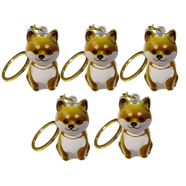 Pet Fur Repeke Capsule Collector Keychain Memorial 5 Piezas (E)