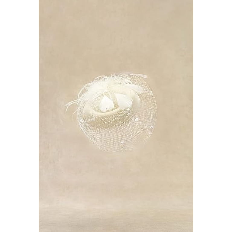 Bridal Wedding Veil Fascinator Mesh Lace Headband Tea Party  display picture 2