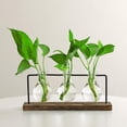 thumbnail image 3 of Terrario con soporte de madera Sunnimix jarrón de propagación de mesa florero de mesa, 3 of 8
