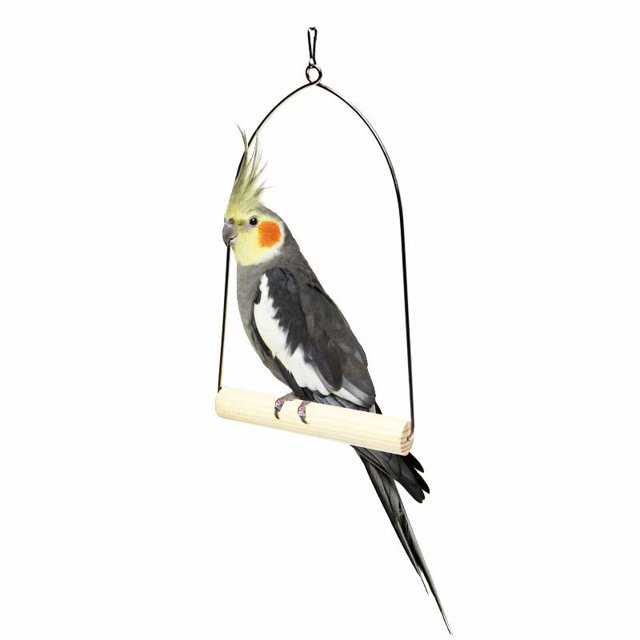 Columpio de juguete de madera maciza de acero inoxidable de loro (tamaño grande 16*28 cm)