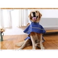 thumbnail image 4 of Chaqueta reflectante para perros, impermeable con capucha para cachorros, poncho y capa impermeable SM, 4 of 7