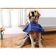 thumbnail image 4 of Impermeable reflectante para perros, chaqueta con capucha, poncho impermeable. SM, 4 of 7