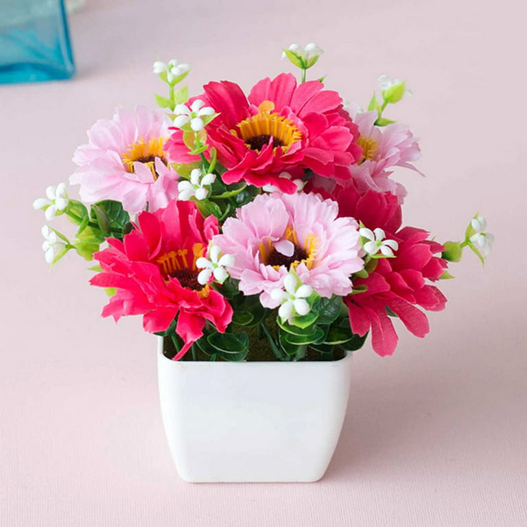 Tiny Flowers, Big Hit: Chrysanthemum Bonsai