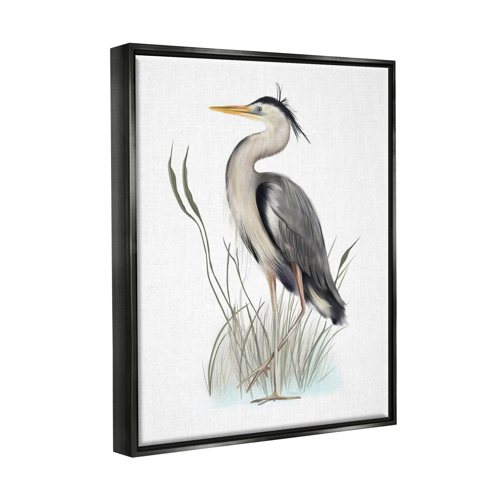 Stupell Industries Peaceful Heron Bird Standing Amidst Wild Grass Graphic Art Jet Black Floating Framed Canvas Print Wall Art, Design by Studio Q