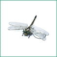 thumbnail image 3 of Juguete repelente de mosquitos para exteriores, modelo de libélula de simulación, repelente de mosquitos, longitud del ala 12 cm, 3 of 5