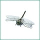 thumbnail image 3 of Juguete repelente de mosquitos para exteriores, modelo de libélula de simulación, repelente de mosquitos, longitud del ala 12 cm, 3 of 5