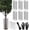 17" Tall 6 Pack, variant on Tree Trunk Protector, 12 Pcs Metal Tree Guards Trunk Protector with Glove & Metal Stakes & Zip Ties, 6 Pack Mesh Tree Bark Protector, Plant Protectors from Deer Animals Mowers Trimmers