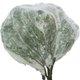 thumbnail image 1 of Muyoka Kyoffiie - Cubierta para plantas de jardín, nailon, transpirable, para plantas, insectos, malla, antiinsectos, ultrafina, para plantas, antipájaros, con cremallera, para patio, granja, campo de Muyoka Hogar, 1 of 7