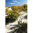 thumbnail image 2 of Alan Hausenflock 28x40 Gallery Wrapped Canvas Wall Art Titled - Assateague Beach V, 2 of 4