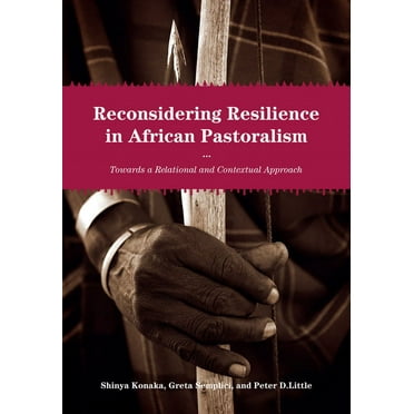 Reconsidering Resilience in African Pastoralism : Towards a Relational and Contextual Approach (Paperback)