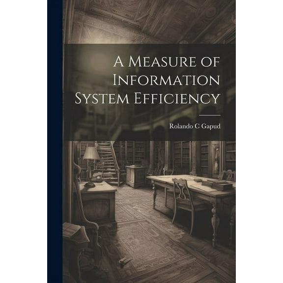 A Measure of Information System Efficiency (Paperback)