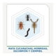 thumbnail image 2 of Insecticida en Aerosol Raid Max Mata Cucarachas e Insectos Rastreros Esencia Eucalipto 400 mL, 2 of 4