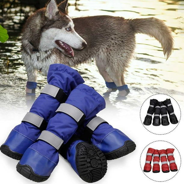 Long best sale dog booties
