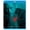 Blue, variant on Vikings: Season 4 Volume 2 (DVD)