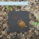 thumbnail image 2 of Plataforma de Sol para Reptiles Unique Bargains Hábitat de Tortuga Pizarra Accesorios de Decoración para Hábitat de Gecko Crestado Lagarto Gris Negro Redondo, Gris Negro, 2 of 7