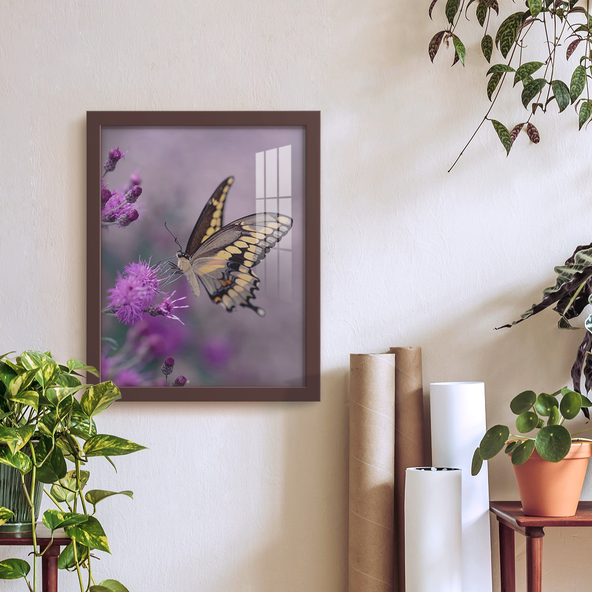 Modern 11 in. x 14 in. Brown Picture Frame (Set of 4)