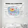 thumbnail image 1 of Educational Tapestry, Microbiology Theme Animal Cell Structure Genetic Research School Study Science, Wall Hanging for Bedroom Living Room Dorm Decor, 80W X 60L Inches, Multicolor, by Ambesonne, 1 of 2