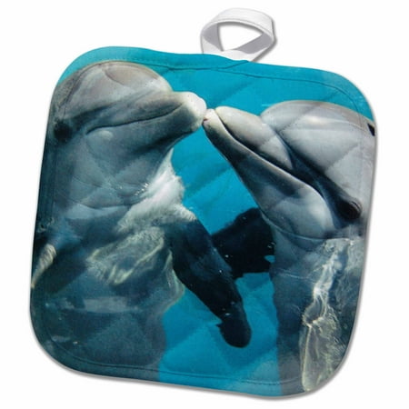 

3dRose Dolphin Play - Pot Holder 8 by 8-inch