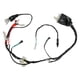 thumbnail image 1 of Arnes Electrico Italika Dm 250 (20-21), 1 of 4