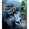thumbnail image 2 of Arbre Généalogique des Primates : la Diversité Incroyable de Nos Plus Proches, 2 of 2