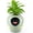 Green, variant on Smart AI Flower Pot with Time-Temperature Display and Expressive Animations for Indoor Decor and Gifts (Green)