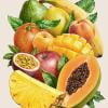 thumbnail image 2 of Cuadros Decorativos 5D Diamond Painting Kit DIY Fruits Full Round Drill Mosaico Cuadro Decoración de pared Tmvgtek embutido en tela, 2 of 9