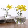 thumbnail image 1 of QTOCIO 2 Pcs Vase Transparent Hydroponique Cadre Décoration de Café, 1 of 9