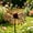 C, variant on 3 Pack Vintage Rusty Cornflower Statues Stake 12 Inch Metal Artistic Wire Art Decor, Rustic Garden Sculptures for Lawns Yard Patio Home Farmhouse Decoration