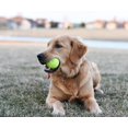 thumbnail image 5 of 10 Pack Tennis Balls Natural Rubber Training Balls for Tennis Lessons Practice Playing with Pets Consistent Bounce Reduced Shock, 5 of 5