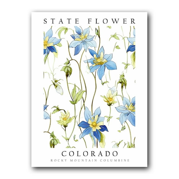 Rocky Mountain Columbine, Colorado State Flower, Poster Print, Wall Décor