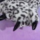 thumbnail image 3 of EeaseMX 1 par de adorables pantuflas polares, botas con garras de animal, zapatos de cosplay, pantuflas antideslizantes de invierno para casa o interior., 3 of 7